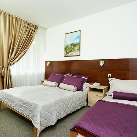 Hotel Moravica Sokobanja Pokój zdjęcie