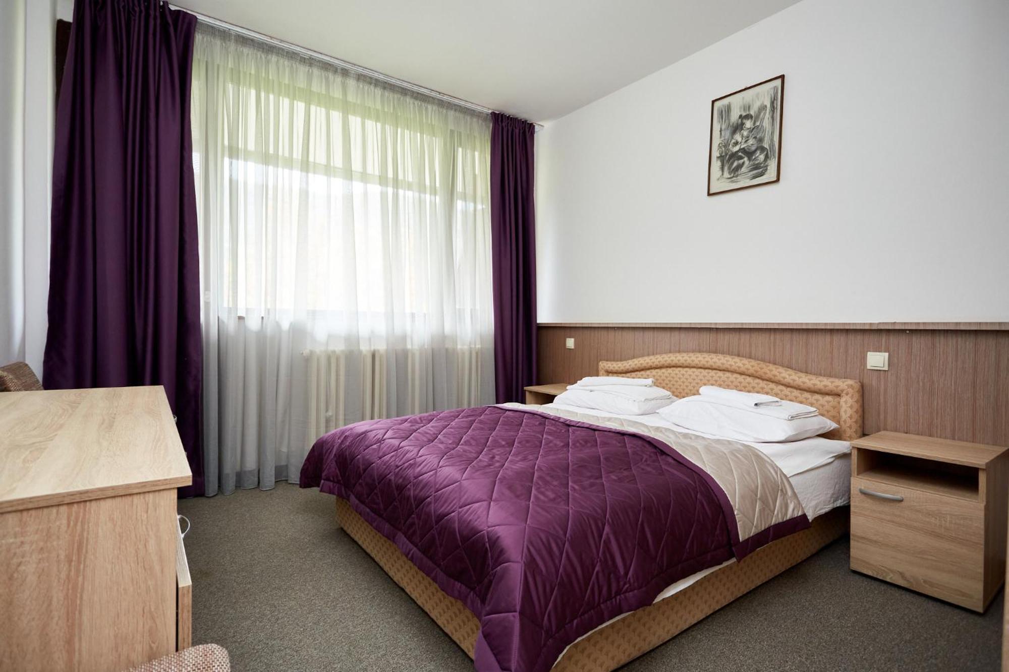 Hotel Moravica Sokobanja Pokój zdjęcie